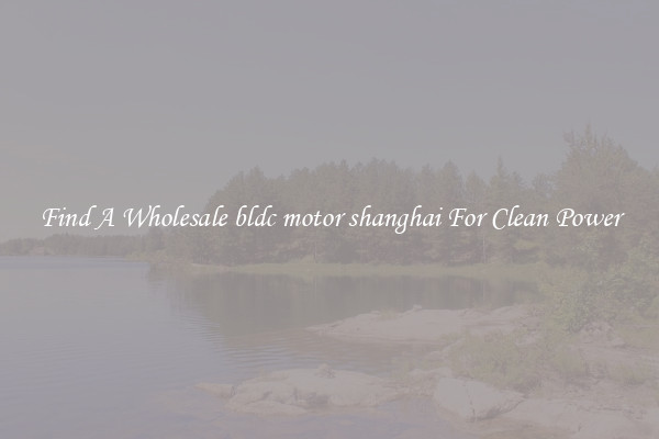 Find A Wholesale bldc motor shanghai For Clean Power