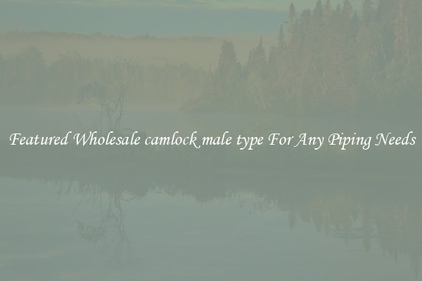 Featured Wholesale camlock male type For Any Piping Needs