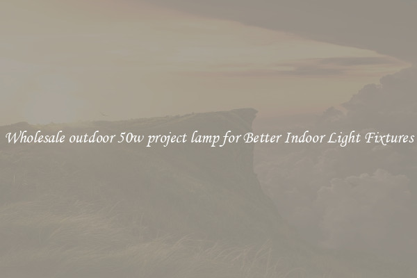 Wholesale outdoor 50w project lamp for Better Indoor Light Fixtures