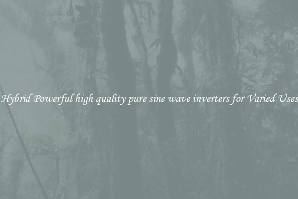 Hybrid Powerful high quality pure sine wave inverters for Varied Uses