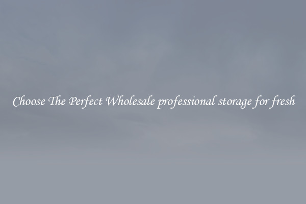 Choose The Perfect Wholesale professional storage for fresh