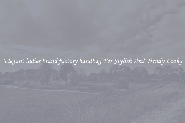 Elegant ladies brand factory handbag For Stylish And Trendy Looks