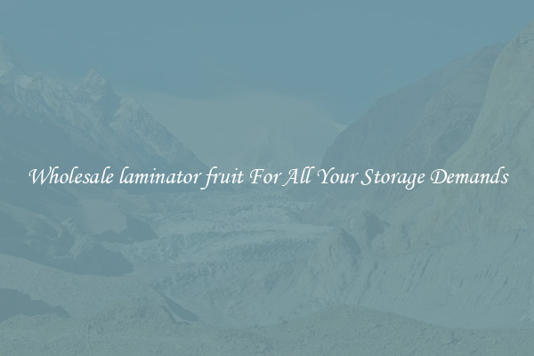 Wholesale laminator fruit For All Your Storage Demands