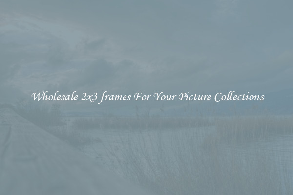 Wholesale 2x3 frames For Your Picture Collections