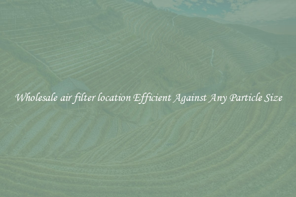 Wholesale air filter location Efficient Against Any Particle Size
