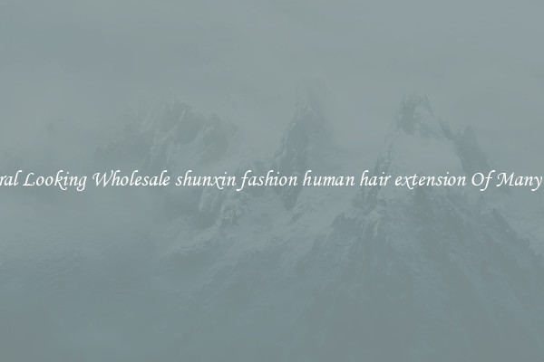 Natural Looking Wholesale shunxin fashion human hair extension Of Many Types
