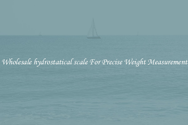 Wholesale hydrostatical scale For Precise Weight Measurement