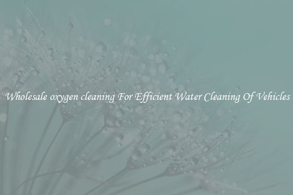 Wholesale oxygen cleaning For Efficient Water Cleaning Of Vehicles