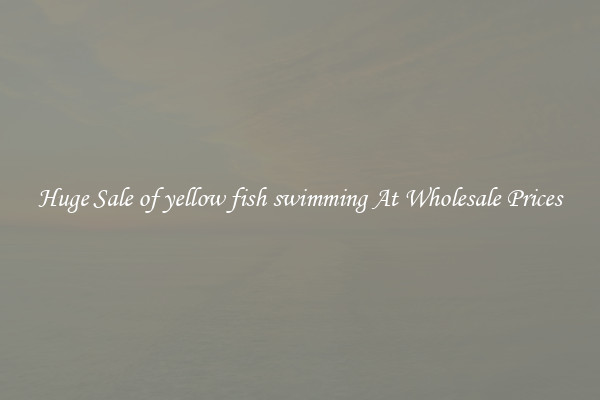 Huge Sale of yellow fish swimming At Wholesale Prices