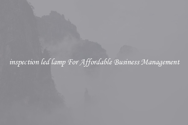 inspection led lamp For Affordable Business Management