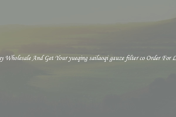 Buy Wholesale And Get Your yueqing sailaoqi gauze filter co Order For Less