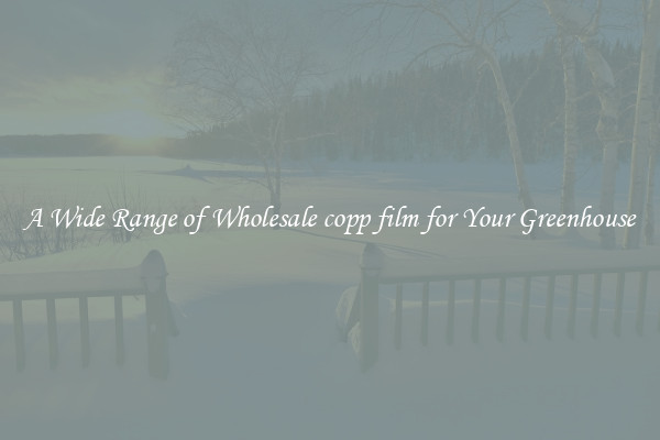 A Wide Range of Wholesale copp film for Your Greenhouse