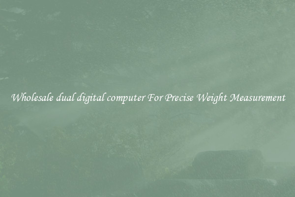 Wholesale dual digital computer For Precise Weight Measurement