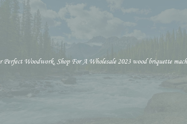 For Perfect Woodwork, Shop For A Wholesale 2023 wood briquette machine