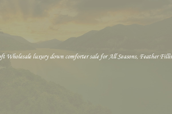 Soft Wholesale luxury down comforter sale for All Seasons, Feather Filling 