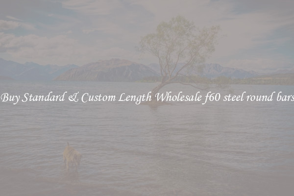 Buy Standard & Custom Length Wholesale f60 steel round bars