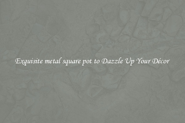 Exquisite metal square pot to Dazzle Up Your Décor 