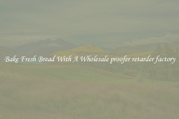 Bake Fresh Bread With A Wholesale proofer retarder factory